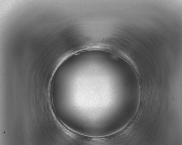 X0000062861483200601171524