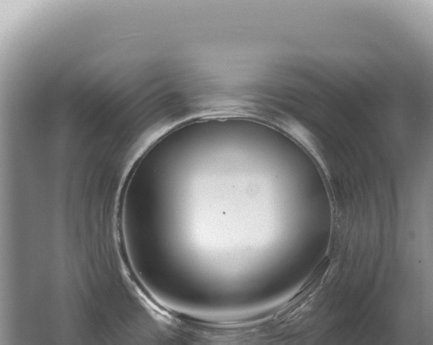 X0000062861485200601171524