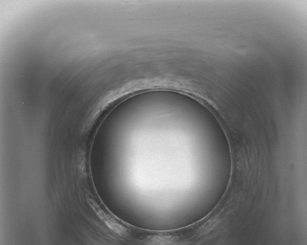 X0000062861499200601171523