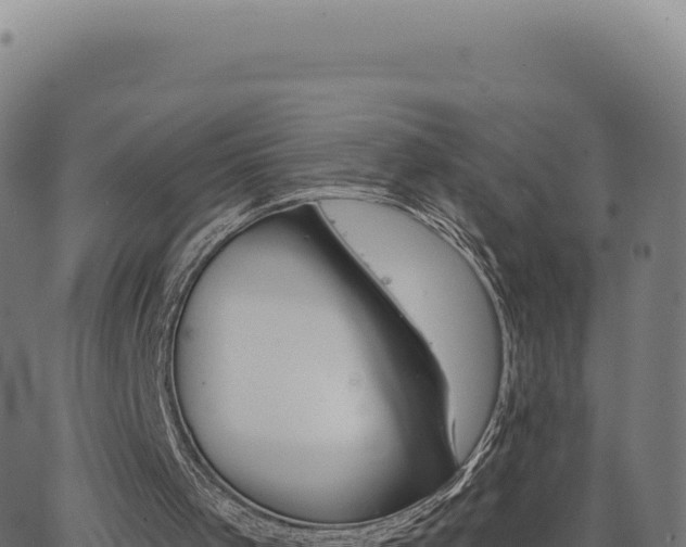 X0000062860001200601201741