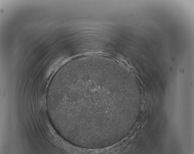 X0000062860002200601201741