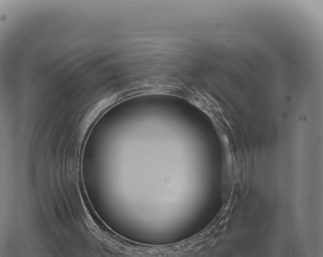 X0000062860003200601201741