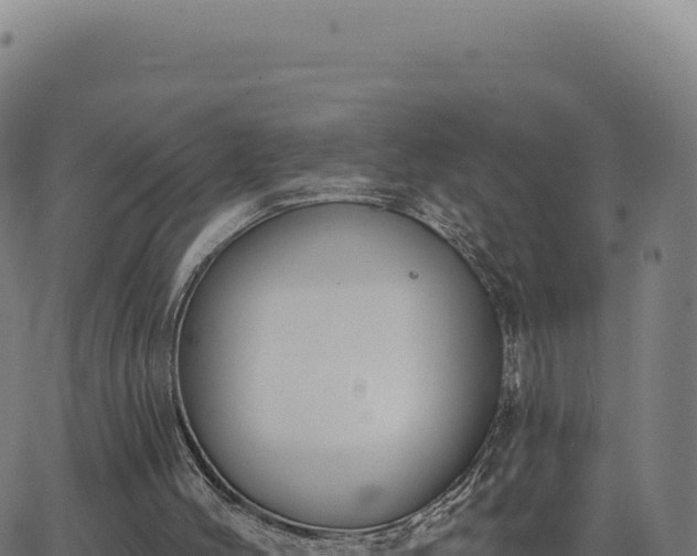 X0000062860004200601201740