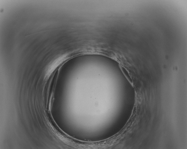 X0000062860005200601201740