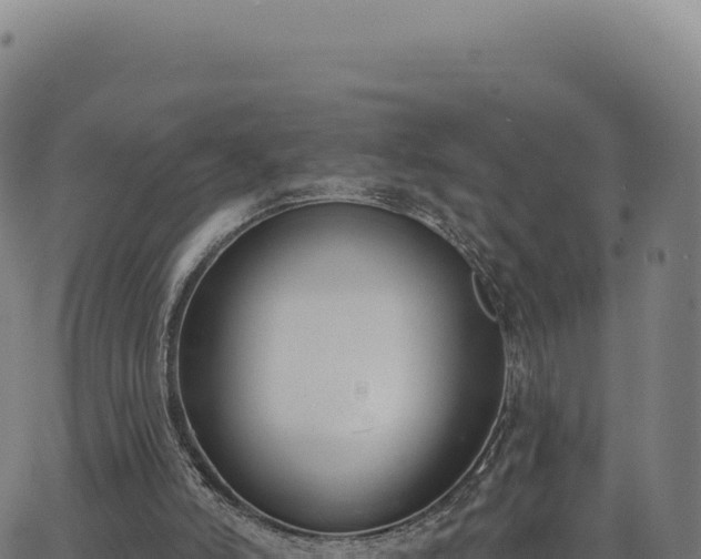 X0000062860006200601201740