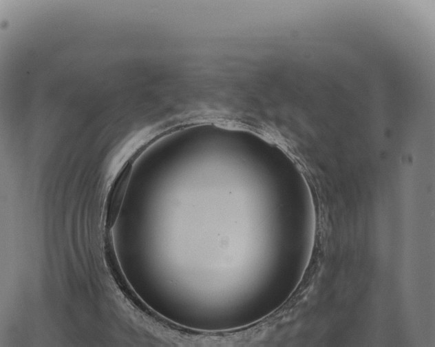 X0000062860007200601201740