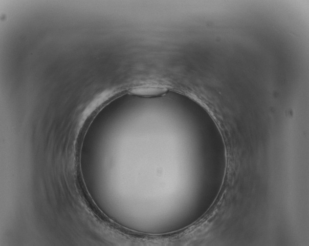 X0000062860008200601201740