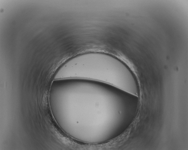 X0000062860009200601201740