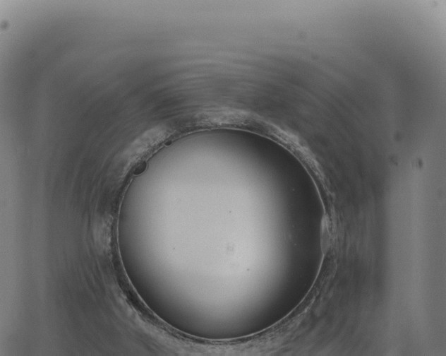 X0000062860010200601201740