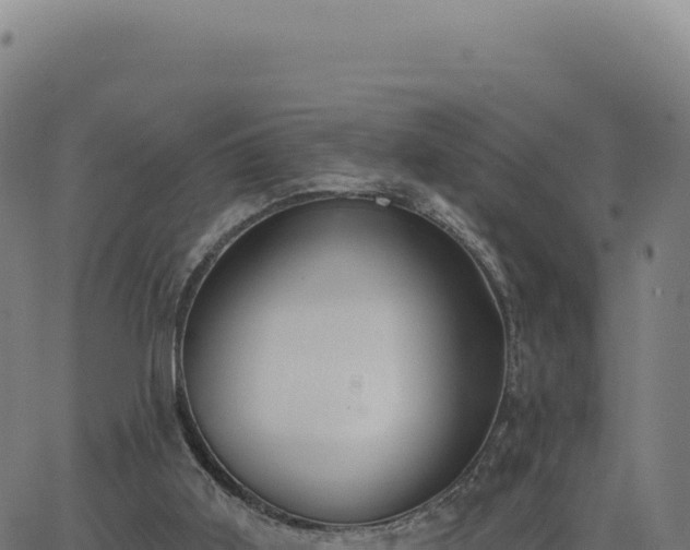 X0000062860011200601201740