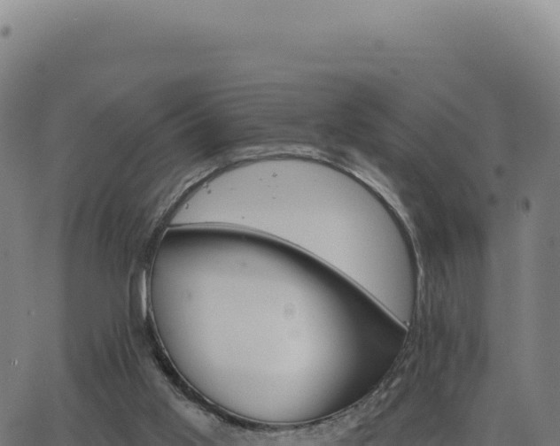 X0000062860013200601201740