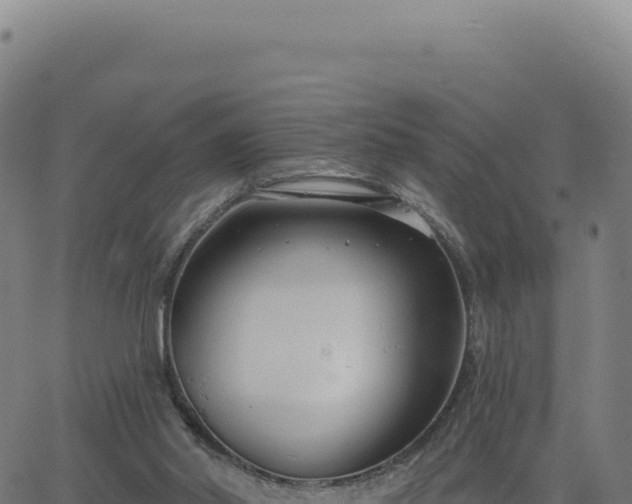 X0000062860014200601201740