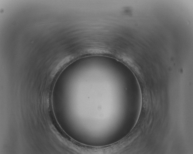 X0000062860015200601201740