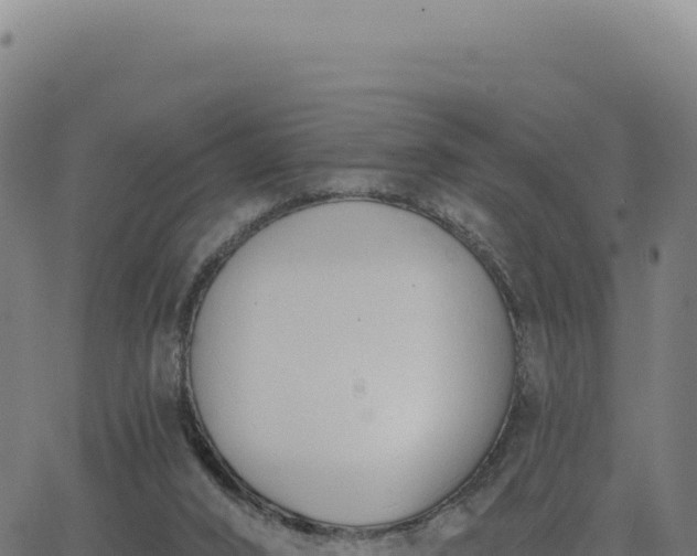 X0000062860016200601201740