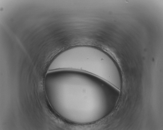 X0000062860017200601201740