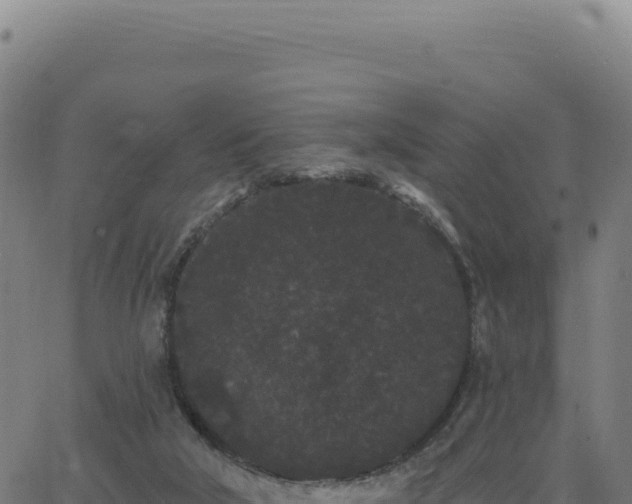 X0000062860018200601201740