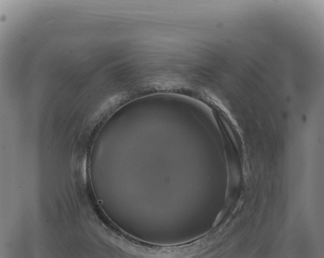 X0000062860019200601201740