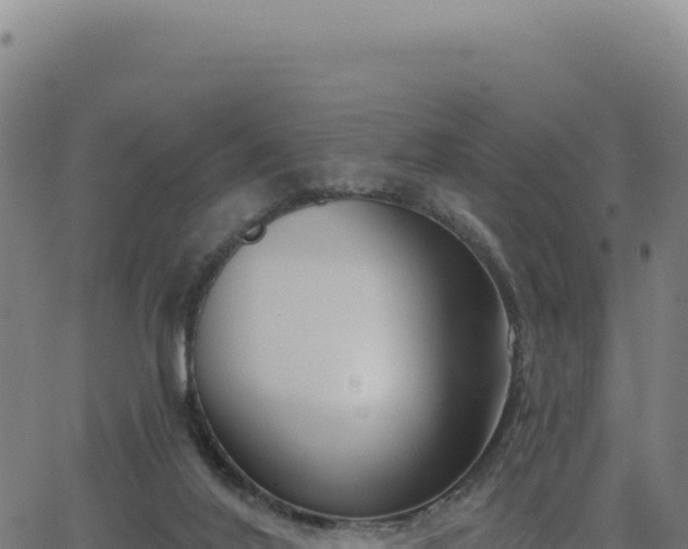 X0000062860020200601201740