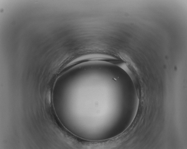 X0000062860021200601201740