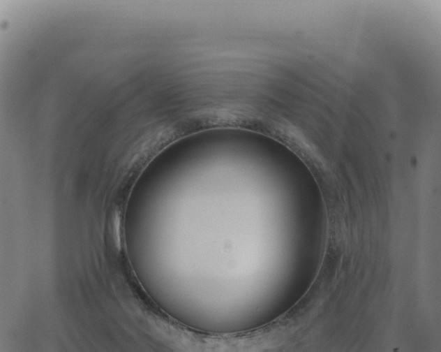 X0000062860022200601201740