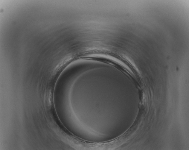 X0000062860023200601201740