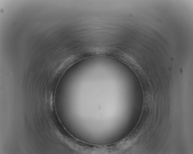 X0000062860024200601201740