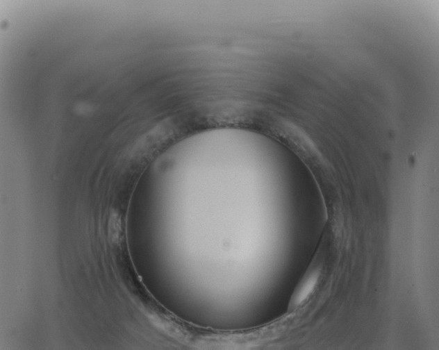 X0000062860025200601201740