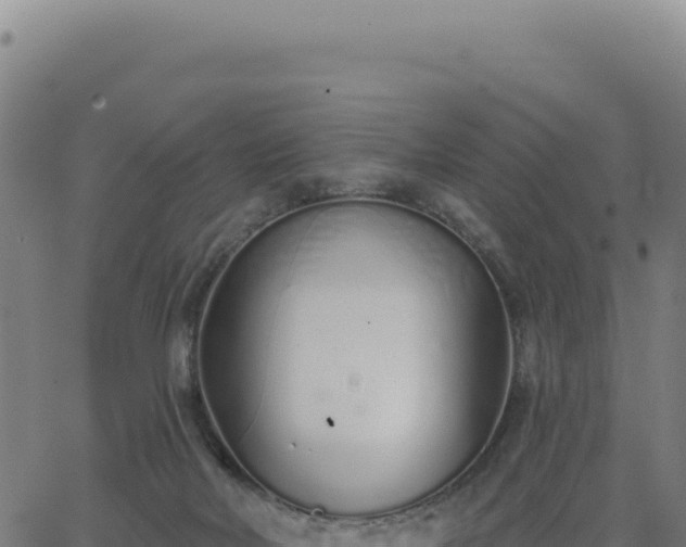 X0000062860026200601201740