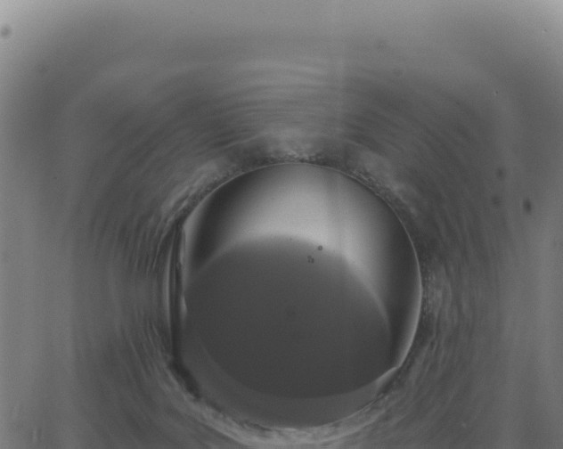 X0000062860027200601201740