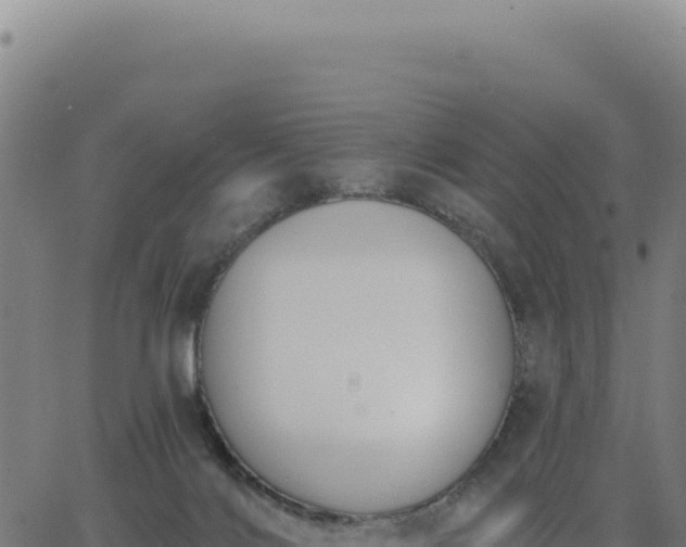 X0000062860028200601201740