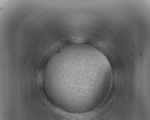 X0000062860030200601201740