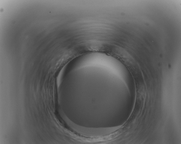 X0000062860031200601201740