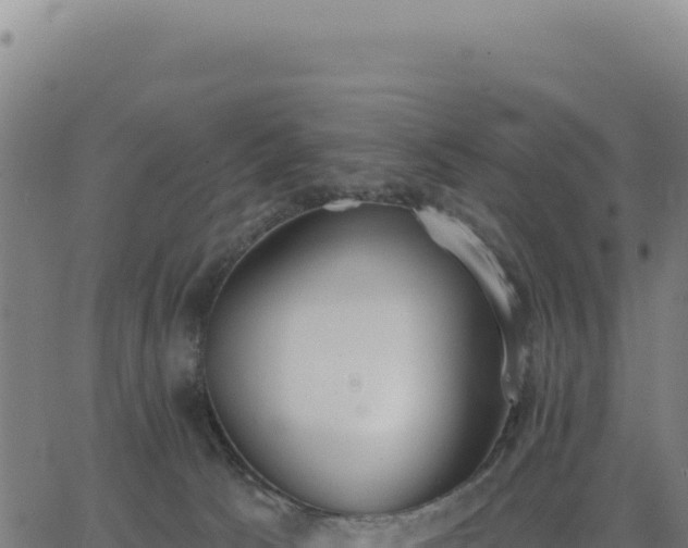 X0000062860033200601201740