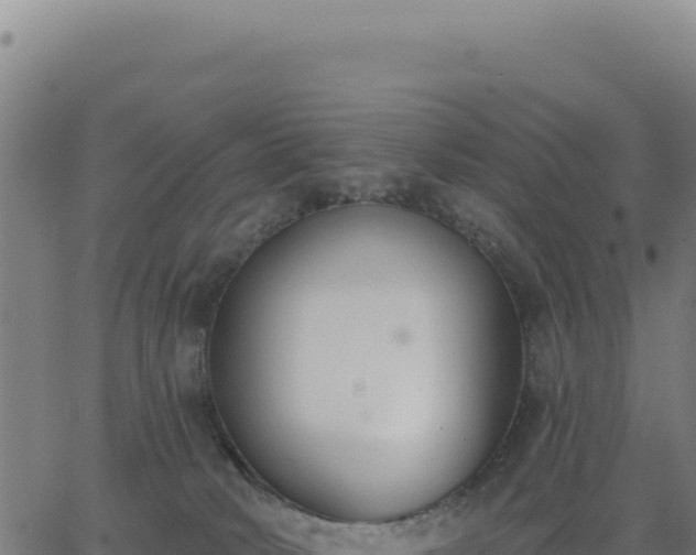 X0000062860034200601201740