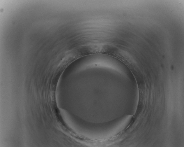 X0000062860035200601201740