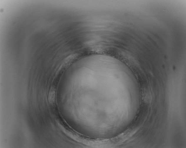 X0000062860036200601201740