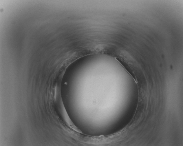 X0000062860037200601201740