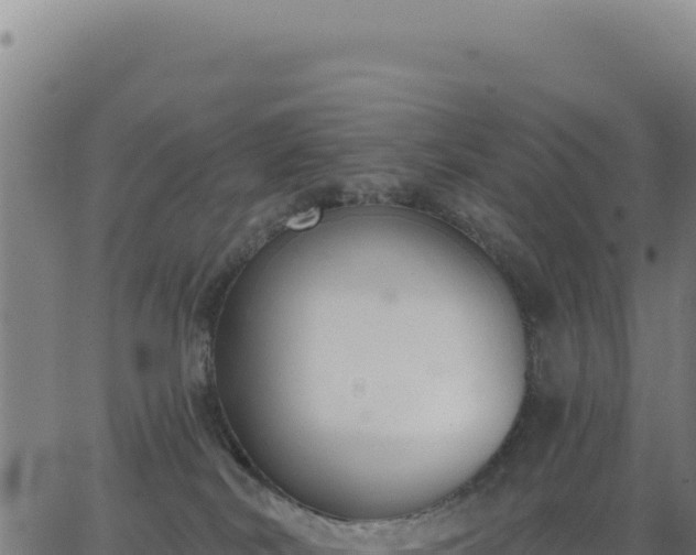 X0000062860038200601201740