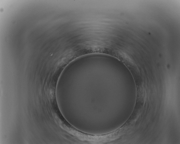 X0000062860039200601201740