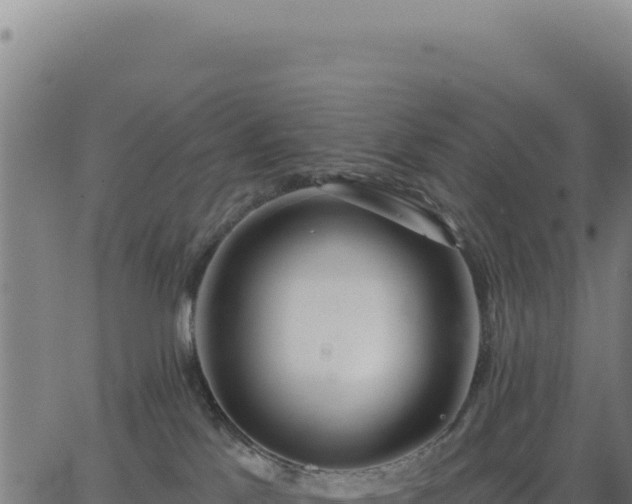 X0000062860041200601201740