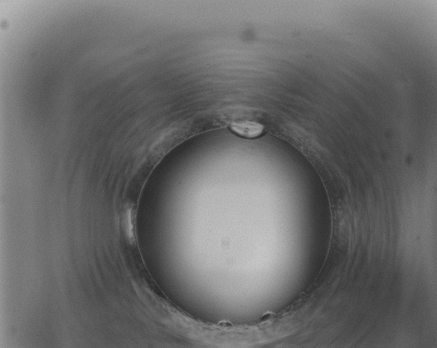 X0000062860042200601201740