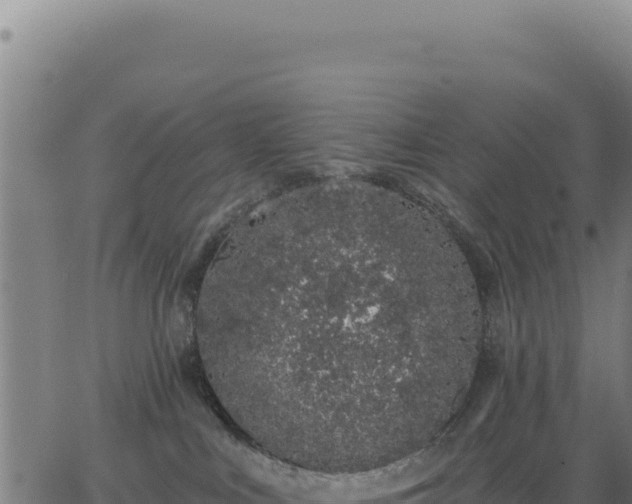 X0000062860043200601201740