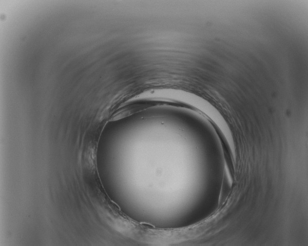 X0000062860045200601201740