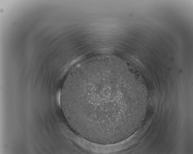 X0000062860047200601201740