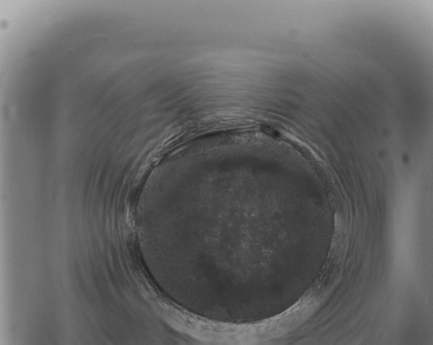 X0000062860048200601201740