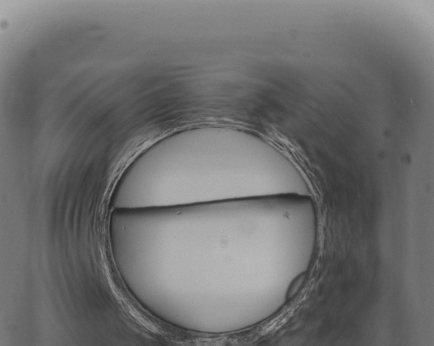 X0000062860049200601201739