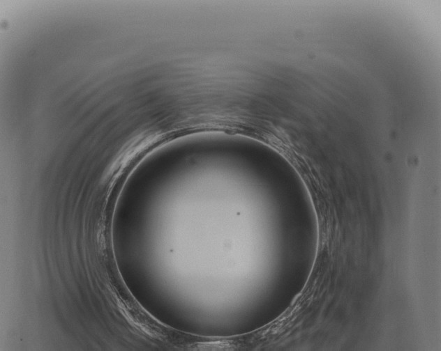 X0000062860050200601201739