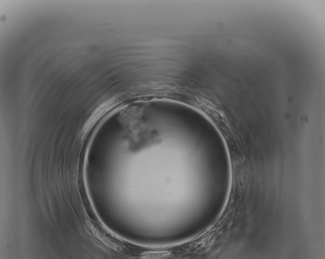 X0000062860051200601201739