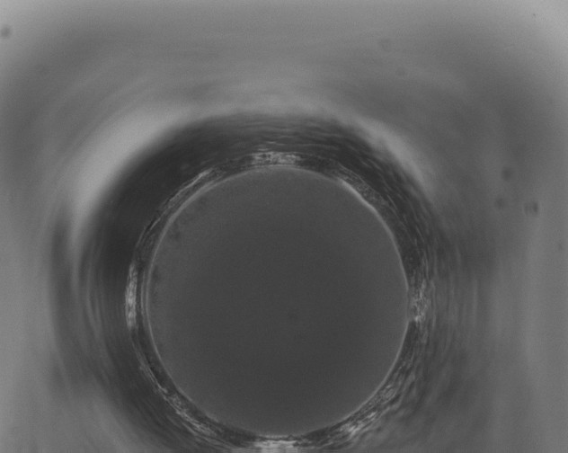 X0000062860052200601201739