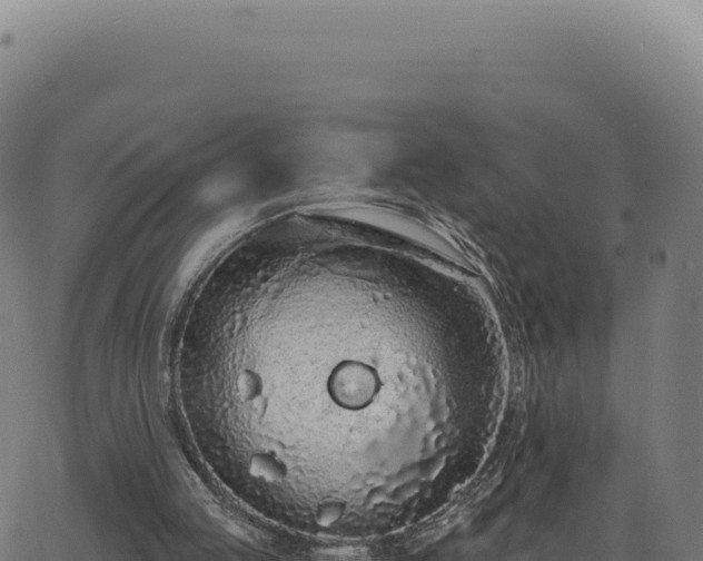 X0000062860053200601201739